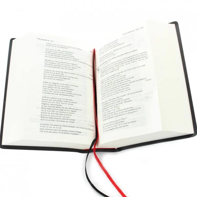 Palais du Rosaire Bible Catholique nouvelle miniature 13cm en Français courant.^ Bible Catholique