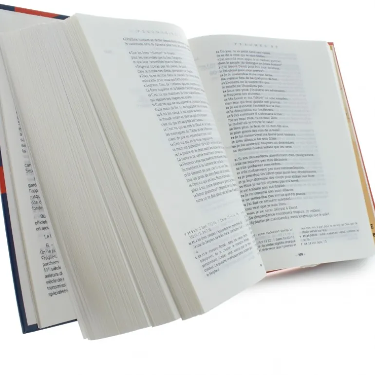 Palais du Rosaire Bible Catholique nouvelle en français courant 19 cm^ Bible Catholique