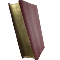 Palais du Rosaire Bible nouvelle en français courant, gros caractères^ Bible Catholique
