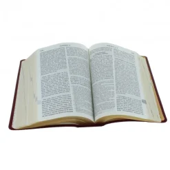 Palais du Rosaire Bible nouvelle en français courant, gros caractères^ Bible Catholique