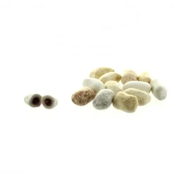 Palais du Rosaire Bonbons Cailloux des Pyrénées à la Myrtille 250g^ Saveur Pyrénéenne Et Régionale