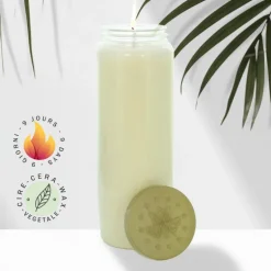 Palais du Rosaire 20 bougies de neuvaine blanches en cire végétale sans odeur^ Bougie Neuvaine