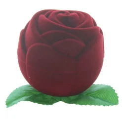 Palais du Rosaire Crèche de Noël dans un coffret en forme de rose^ Crèche