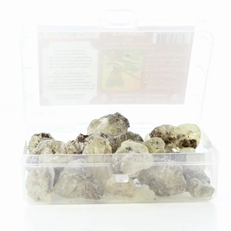 Palais du Rosaire Encens Naturel en Grains Benjoin Dragon Fly - Boîte 50g^ Encens En Grains