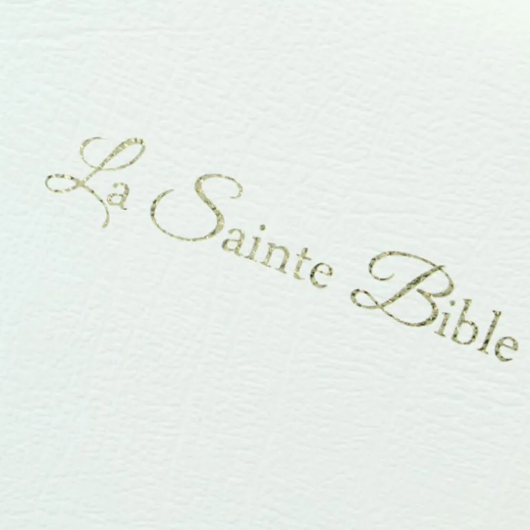 Palais du Rosaire La Sainte Bible - Gros Caractères - Bible Segond 1910 - Couverture simili cuir - Zipper - Tranche or - Onglets^ Bible Catholique | Livre De Prière