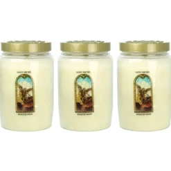 Palais du Rosaire Lot de 3 Bougies de dévotion 3 jours Saint Michel^ Bougie De Dévotion