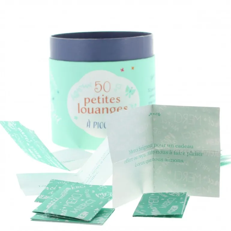 Palais du Rosaire 50 petites louanges à piocher^ Livre De Prière