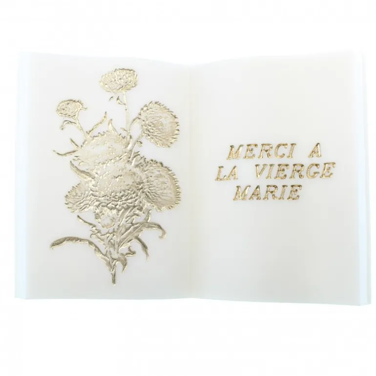 Palais du Rosaire Plaque "Merci à la Vierge Marie" en forme de livre en résine blanche et or 15x21cm^ Cadre Religieux