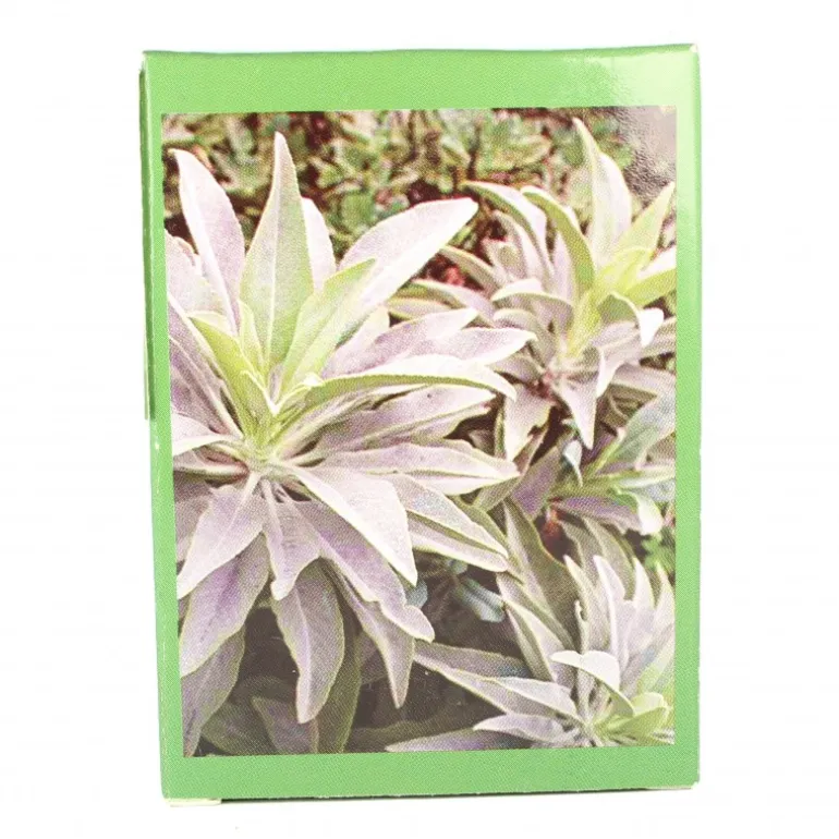 Palais du Rosaire Savon parfum sauge 125g^ Savon